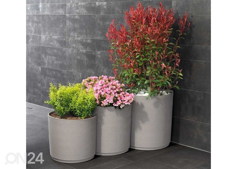 Kukkaruukku Urban Beton 3 kpl kuvasuurennos