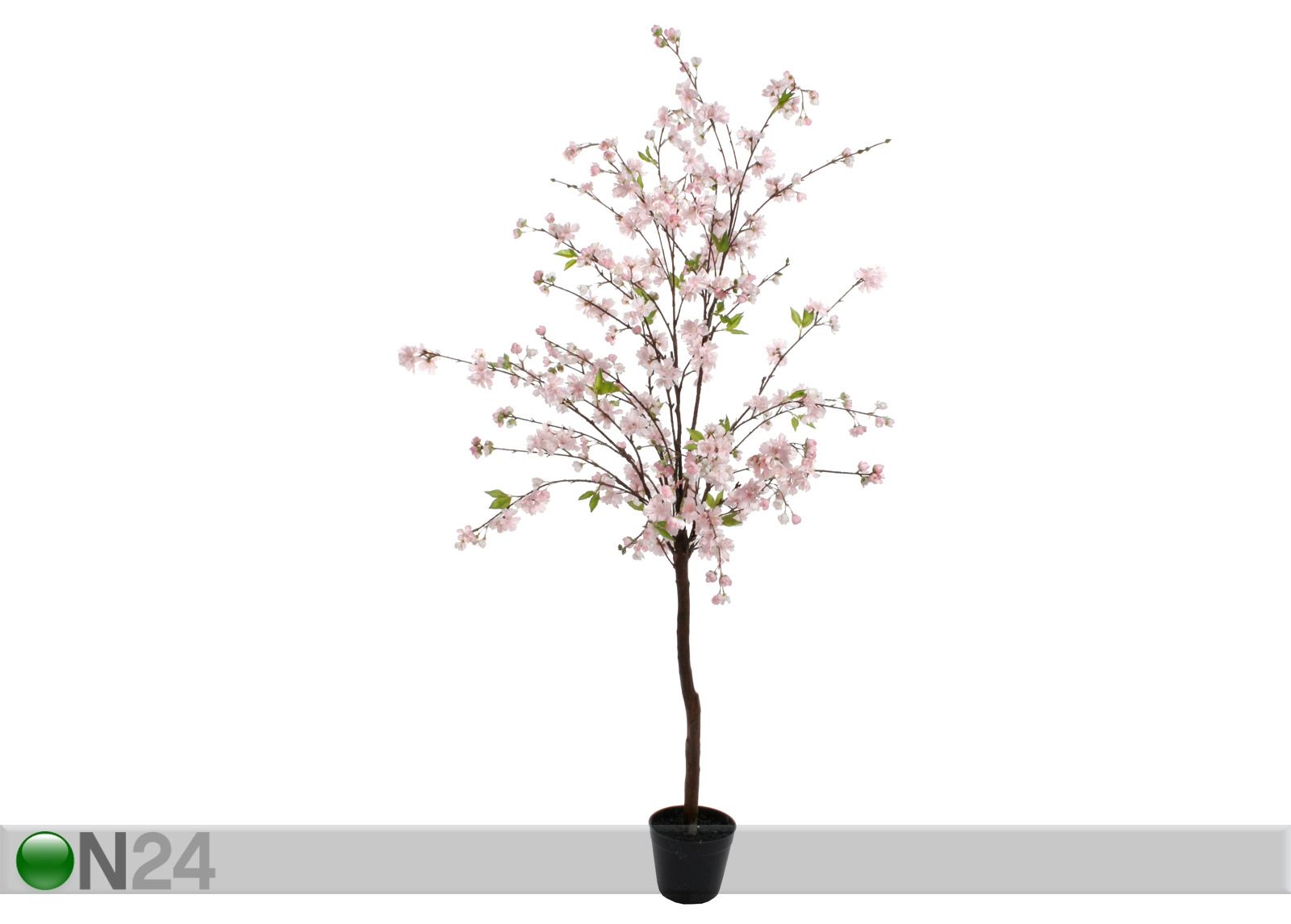 Kukkiva kirsikkapuu 160 cm kuvasuurennos
