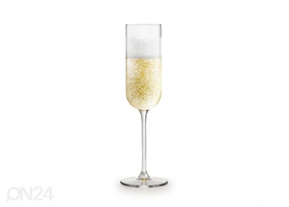 Kuohuviinilasi Yarra 21 cl, 4 kpl kuvasuurennos