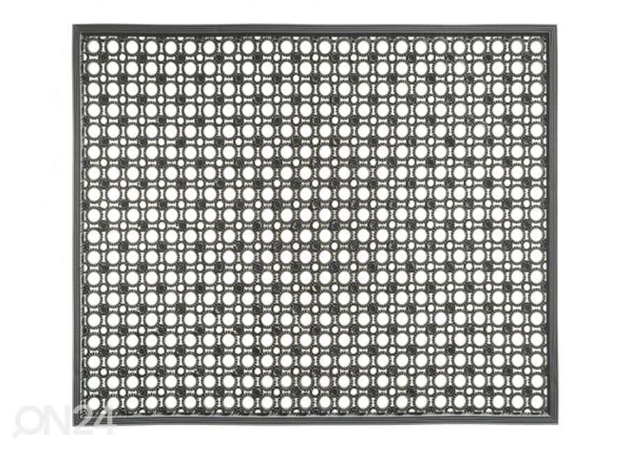 Kuramatto Lizzy 48x62 cm kuvasuurennos