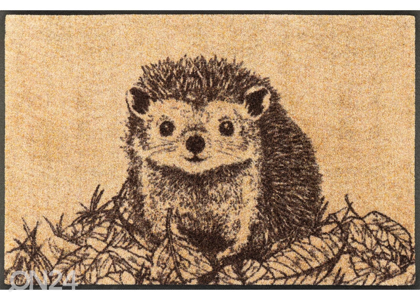 Kynnysmatto Hedgy 50x75 cm kuvasuurennos