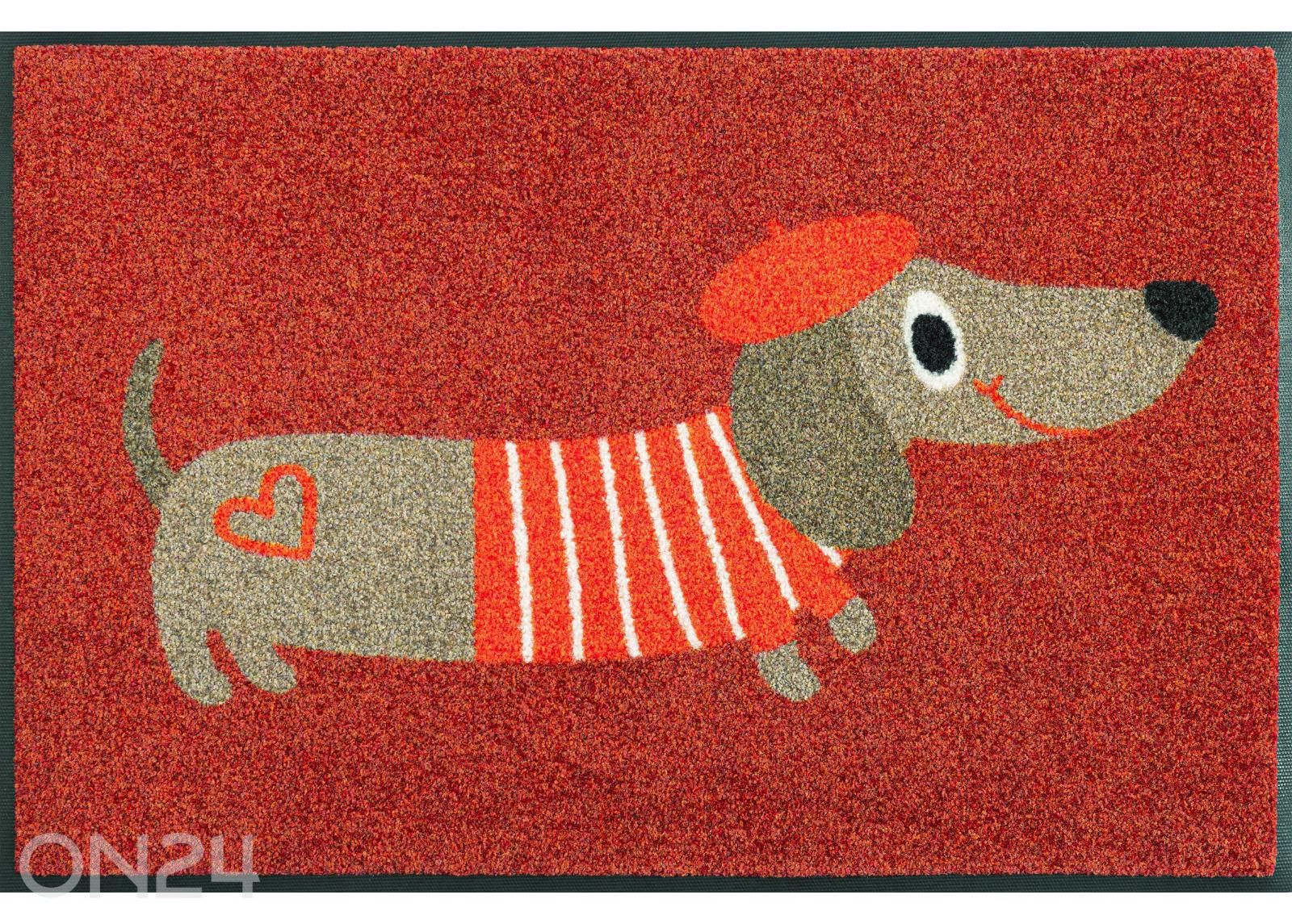 Kynnysmatto Monsieur Chien, 50x75 cm kuvasuurennos