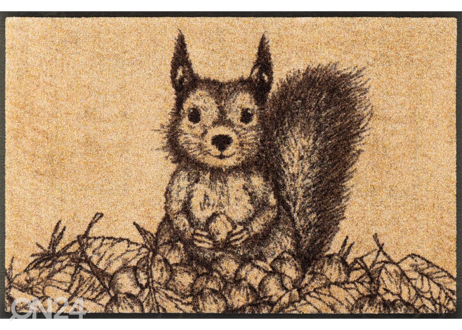 Kynnysmatto Squirry 50x75 cm kuvasuurennos