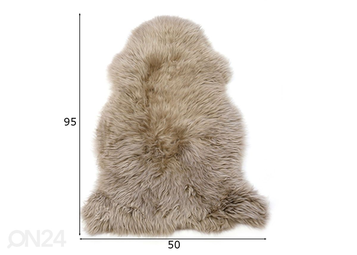 Lampaantalja 50x95 cm kuvasuurennos mitat