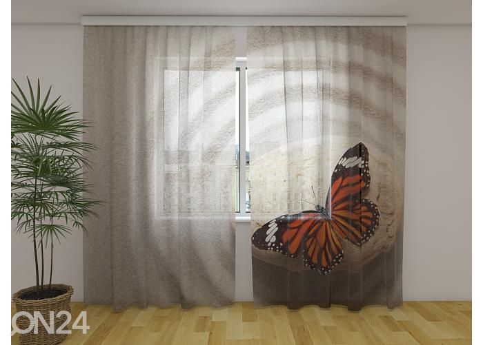 Läpikuultava kuvaverho Zen Stone with Butterfly 240x220 cm kuvasuurennos