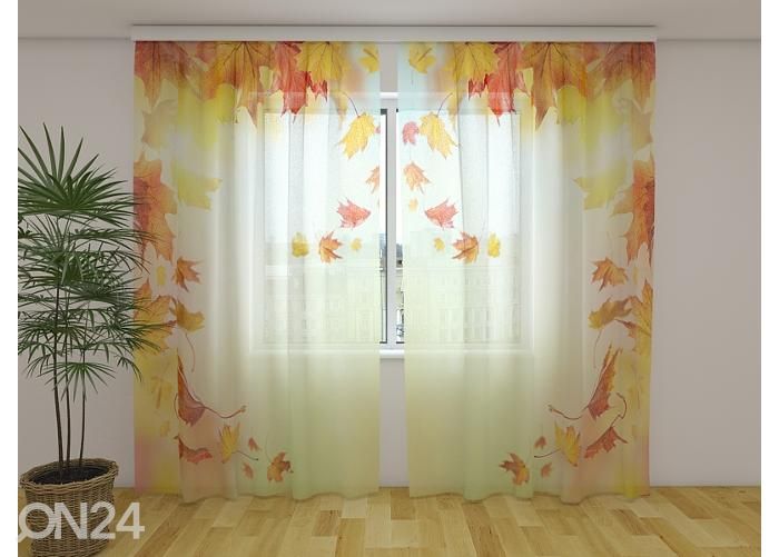 Läpinäkyvä kuvaverho Autumn Falling Leaves 240x220 cm kuvasuurennos