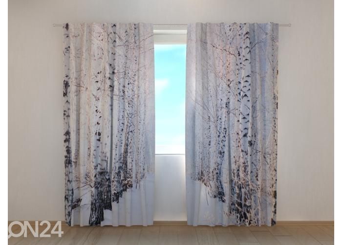 Läpinäkyvä kuvaverho Birch Grove in the Snow 240x220 cm kuvasuurennos