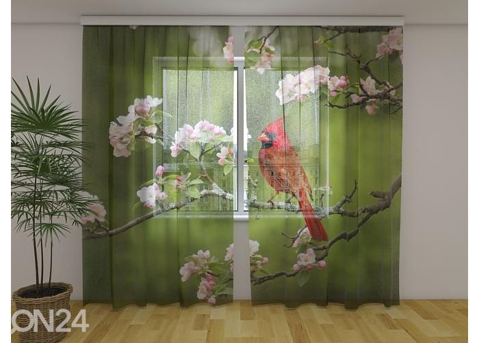 Läpinäkyvä kuvaverho Bird Cardinal on a Spring Twig 240x220 cm kuvasuurennos