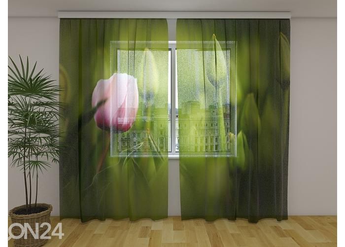 Läpinäkyvä kuvaverho First Pink Tulip 240x220 cm kuvasuurennos