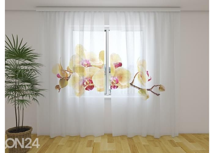 Läpinäkyvä kuvaverho olden Orchid on White 240x220 cm kuvasuurennos