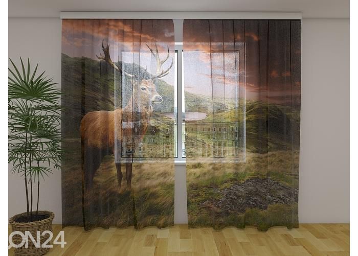 Läpinäkyvä kuvaverho Red Deer at Sunset 240x220 cm kuvasuurennos