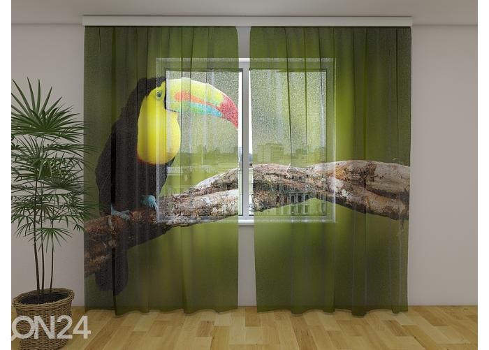 Läpinäkyvä kuvaverho Toucan on the Branch 240x220 cm kuvasuurennos