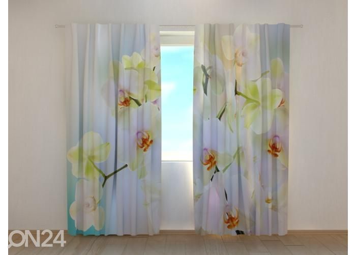 Läpinäkyvä kuvaverho White Twig 240x220 cm kuvasuurennos