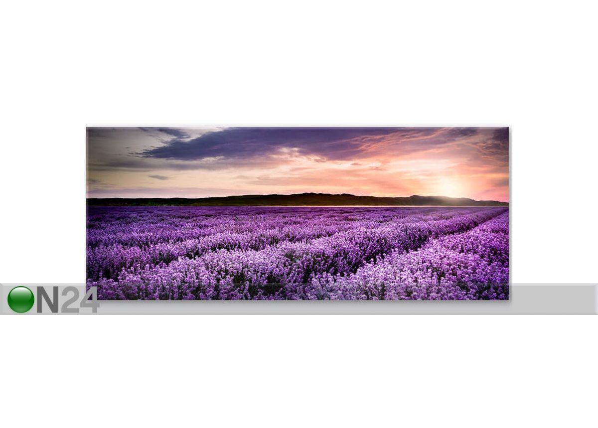 Lasitaulu Laventelipelto 50x125 cm kuvasuurennos