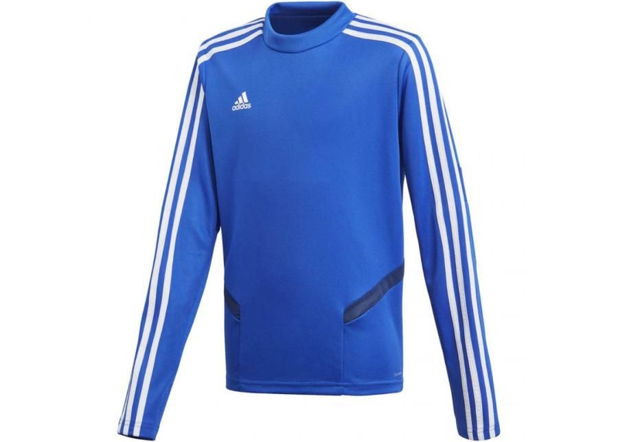Lasten collegepaita Adidas Tiro 19 Treenitoppi JR sininen DT5279 kuvasuurennos