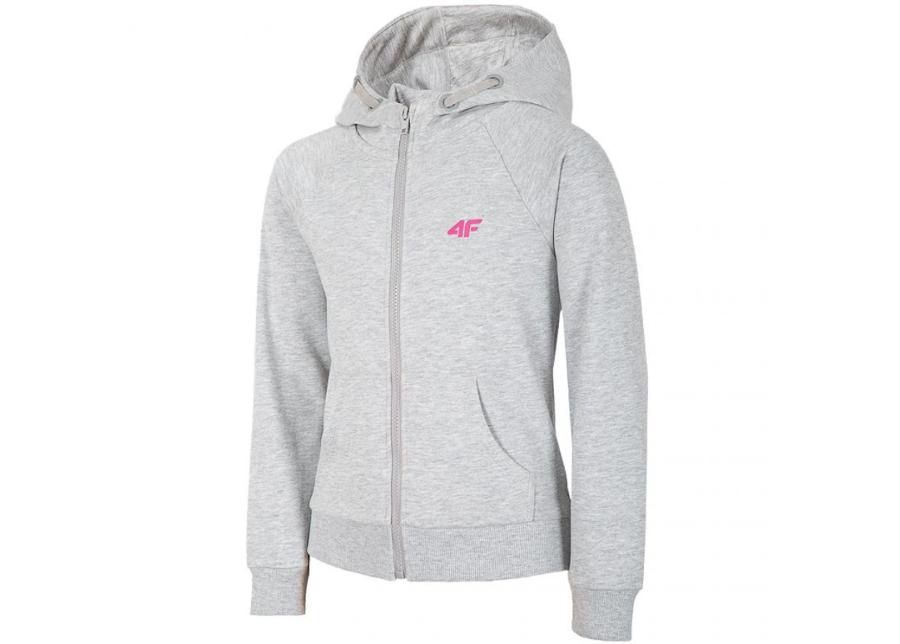 Lasten huppari 4F Jr HJL20 JBLD001 25M kuvasuurennos