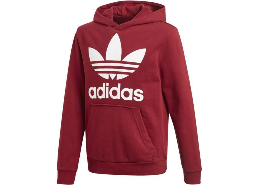 Lasten huppari adidas TRF Hoodie JR CD6501 kuvasuurennos