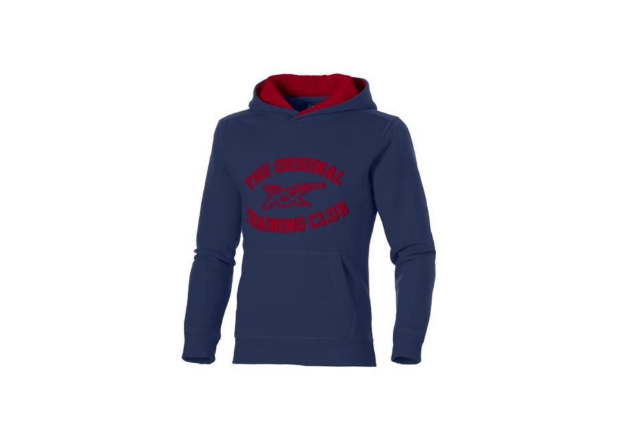 Lasten huppari Asics Graphic Hoodie Boys Junior 125093JR-8052 kuvasuurennos