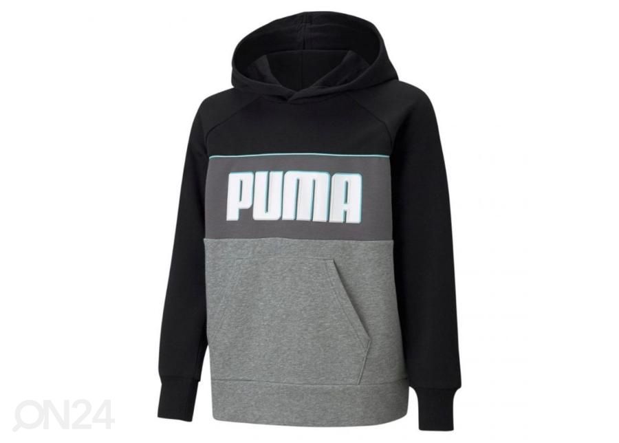 Lasten huppari Puma Alpha Hoodie kuvasuurennos