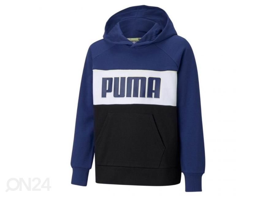Lasten huppari Puma Alpha Hoodie kuvasuurennos