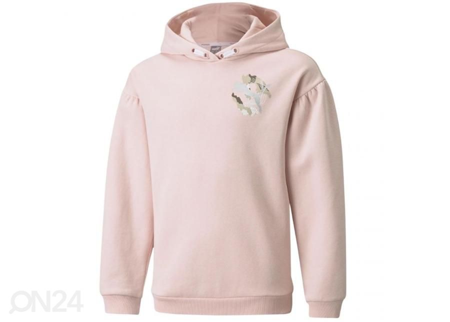 Lasten huppari Puma Alpha Hoodie FL kuvasuurennos