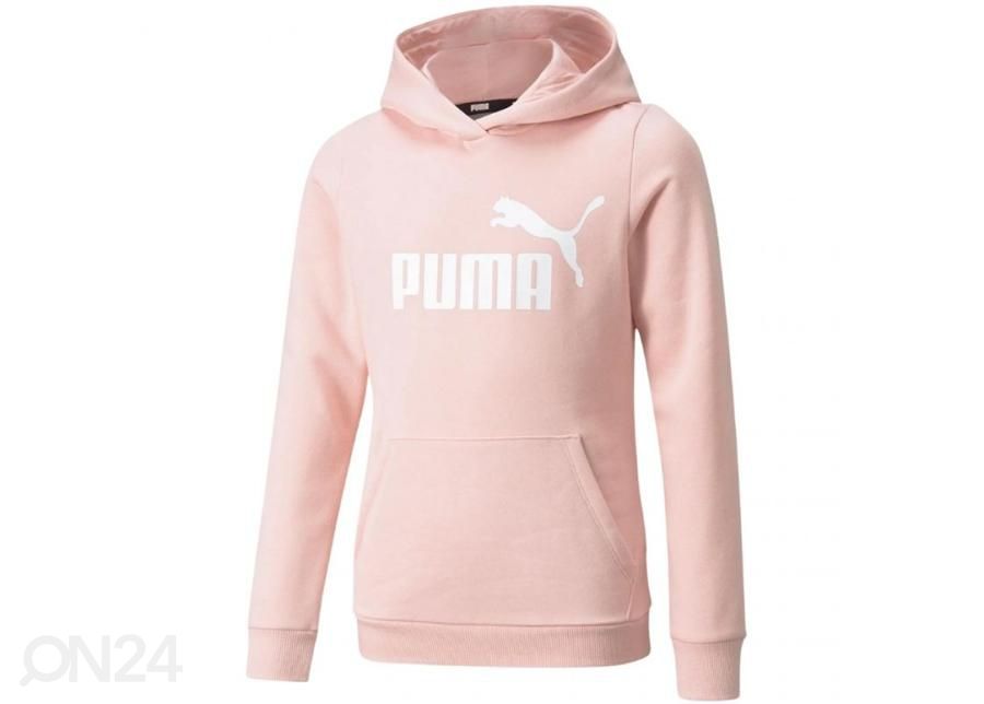Lasten huppari Puma ESS Logo Hoodie FL kuvasuurennos