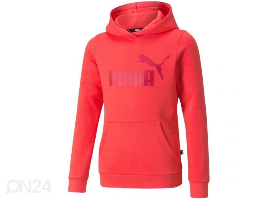 Lasten huppari Puma ESS Logo Hoodie FL kuvasuurennos