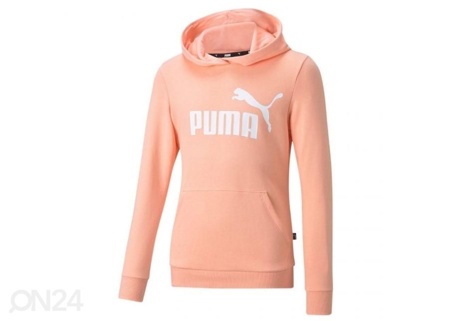 Lasten huppari Puma ESS Logo Hoodie TR kuvasuurennos