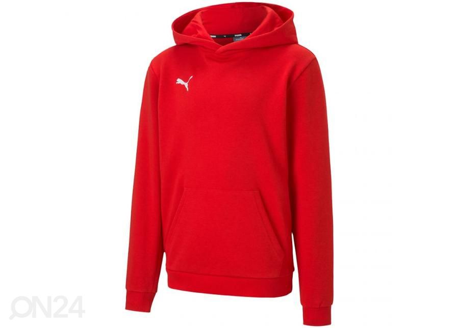 Lasten huppari Puma teamGOAL 23 Casuals kuvasuurennos