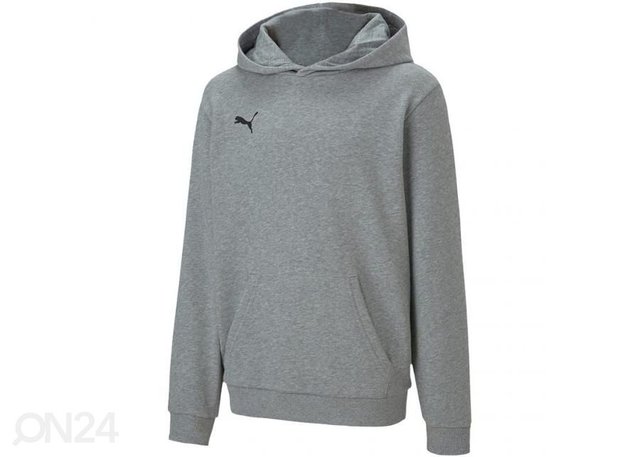 Lasten huppari Puma teamGOAL 23 Casuals kuvasuurennos