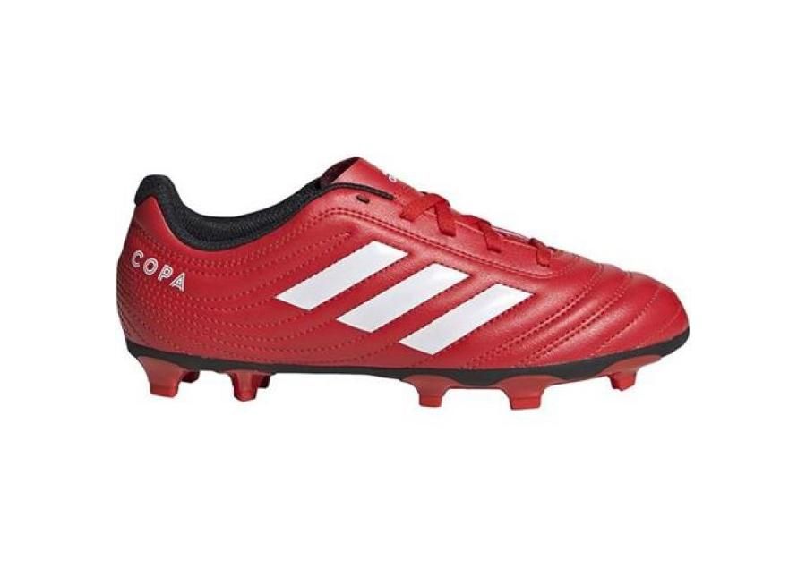 Lasten jalkapallokengät Adidas Copa 20,04 EF1919 FG JR kuvasuurennos