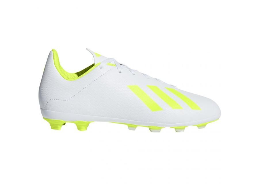 Lasten jalkapallokengät nurmelle Adidas X 18.4 FxG JR BB9380 kuvasuurennos