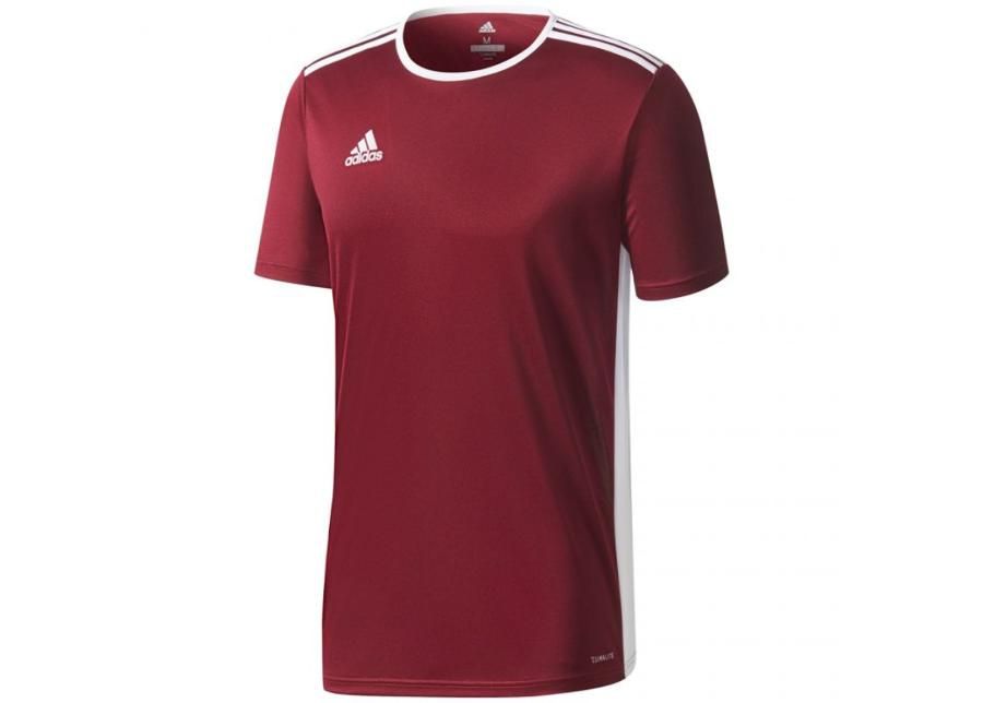 Lasten jalkapallopaita Adidas ENTRADA 18 Jr CD8430 kuvasuurennos