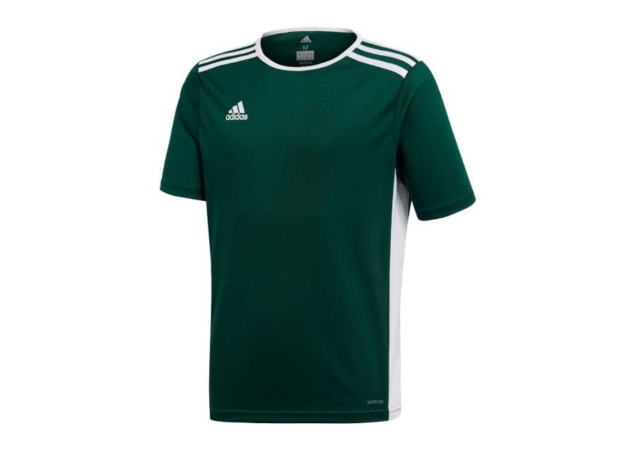 Lasten jalkapallopaita adidas Entrada 18 Jr CE9563 kuvasuurennos