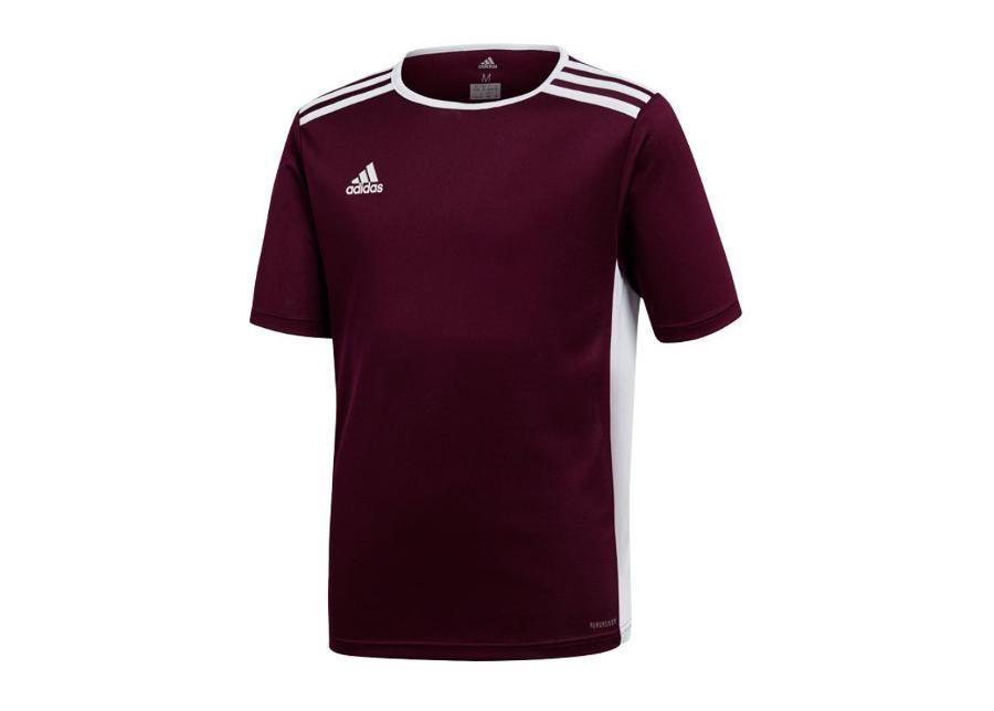 Lasten jalkapallopaita adidas Entrada 18 Jr CE9564 kuvasuurennos