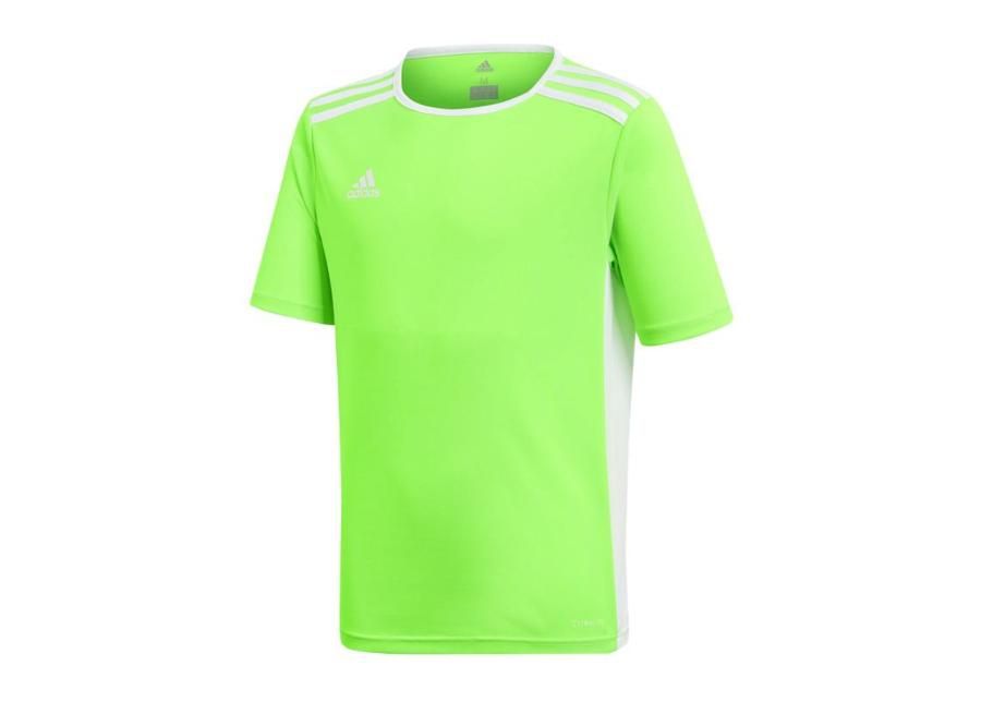 Lasten jalkapallopaita adidas Entrada 18 Jr CE9755 kuvasuurennos