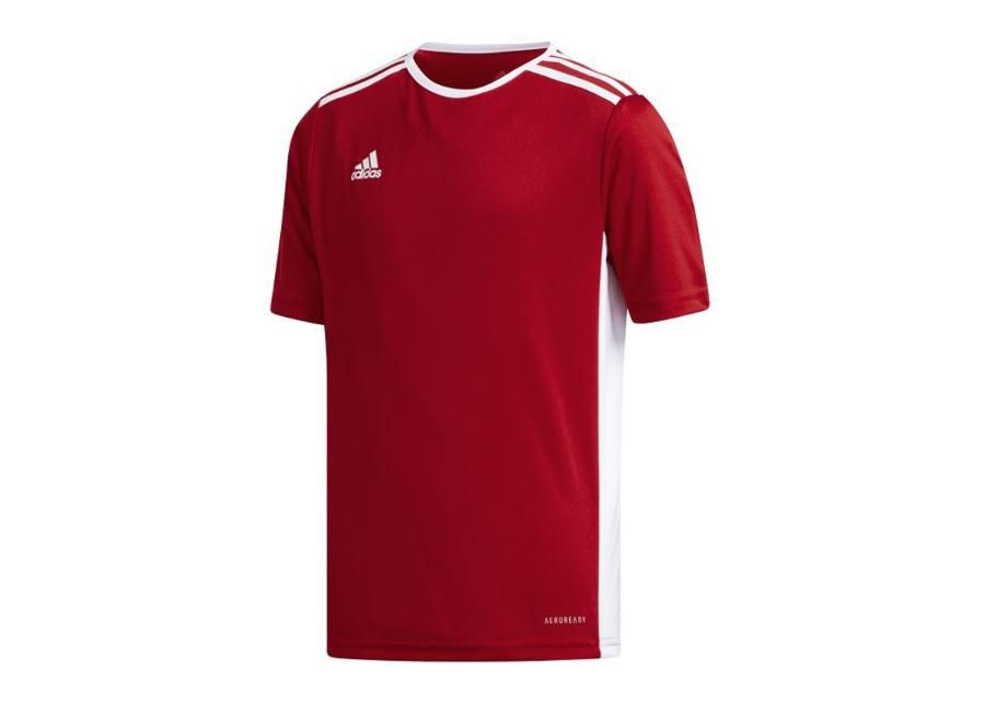 Lasten jalkapallopaita adidas Entrada 18 Jr CF1050 kuvasuurennos