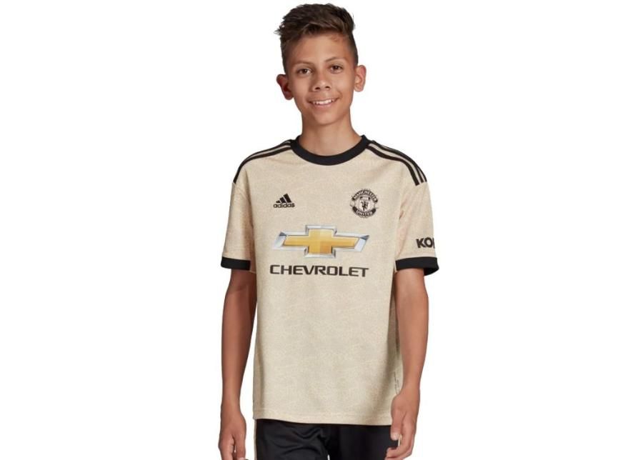 Lasten jalkapallopaita adidas Manchester FC Away JSY Y Junior DX8945 kuvasuurennos