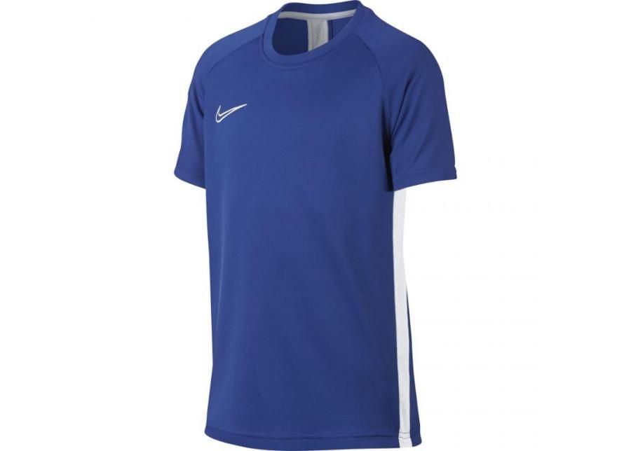 Lasten jalkapallopaita Nike B Dry Academy SS Junior AO0739-480 kuvasuurennos