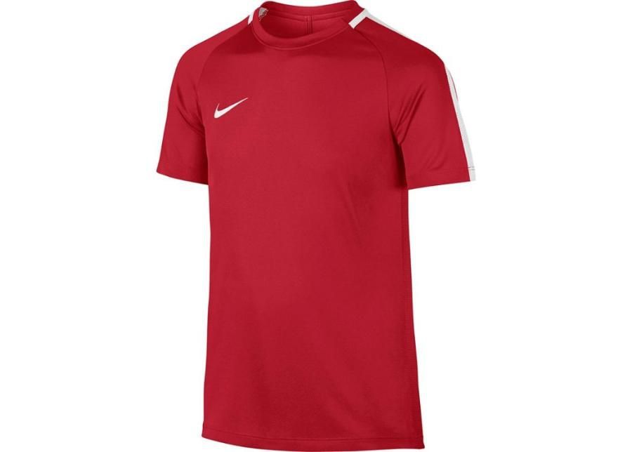 Lasten jalkapallopaita Nike Dry Academy 17 Junior 832969-657 kuvasuurennos