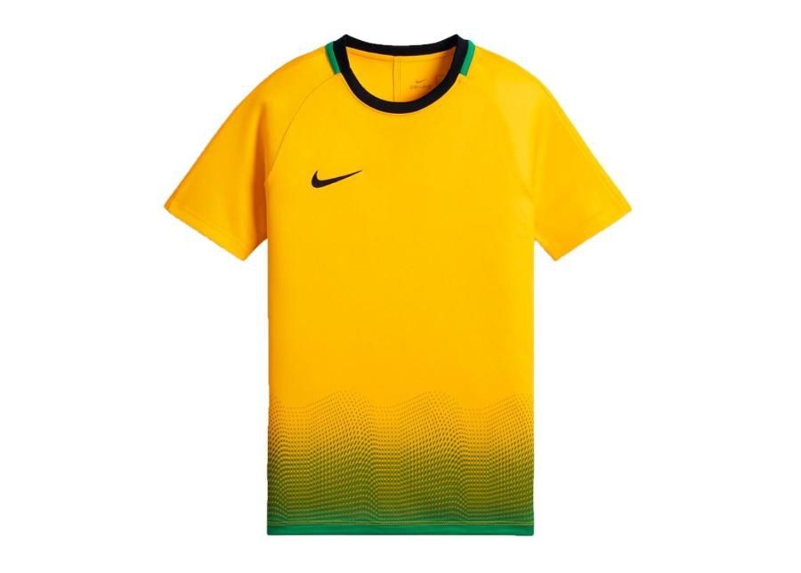 Lasten jalkapallopaita Nike Dry Academy Top GX Jr AJ4225-728 kuvasuurennos