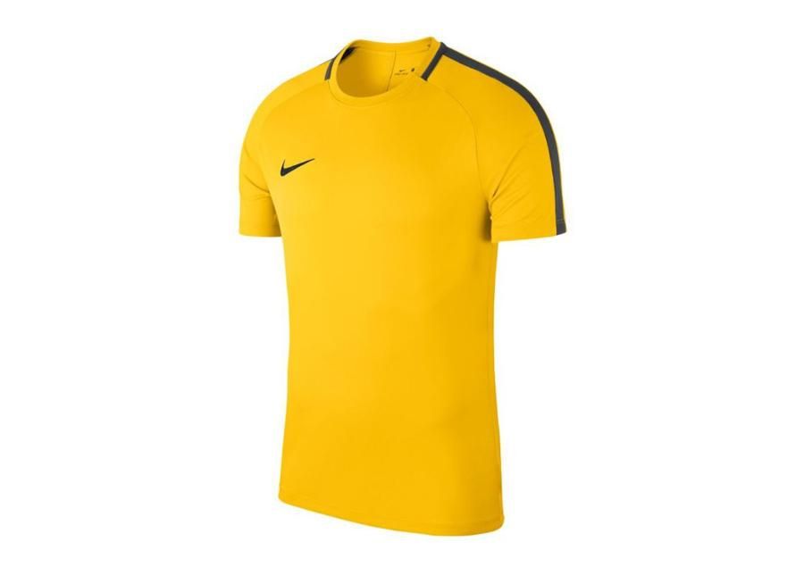 Lasten jalkapallopaita Nike JR Academy 18 Jr 893750-719 kuvasuurennos