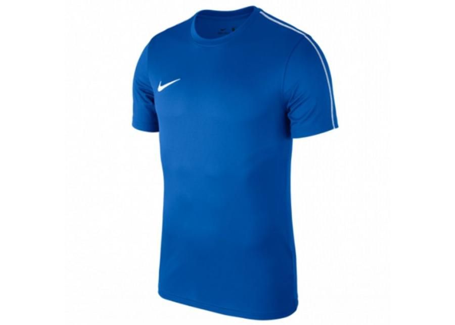 Lasten jalkapallopaita Nike Y Dry Park 18 SS Top Jr AA2057-463 kuvasuurennos