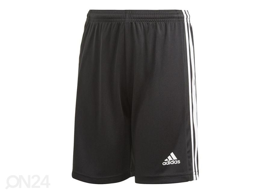 Lasten jalkapalloshortsit Adidas Squadra 21 Y kuvasuurennos