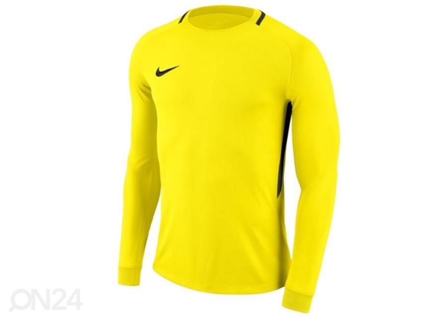 Lasten maalivahdin paita Nike Dry Park III LS Junior 894516-741 kuvasuurennos