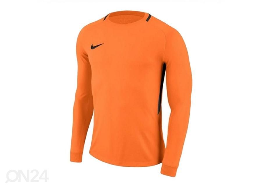 Lasten maalivahdin paita Nike Dry Park III LS Junior 894516-803 kuvasuurennos