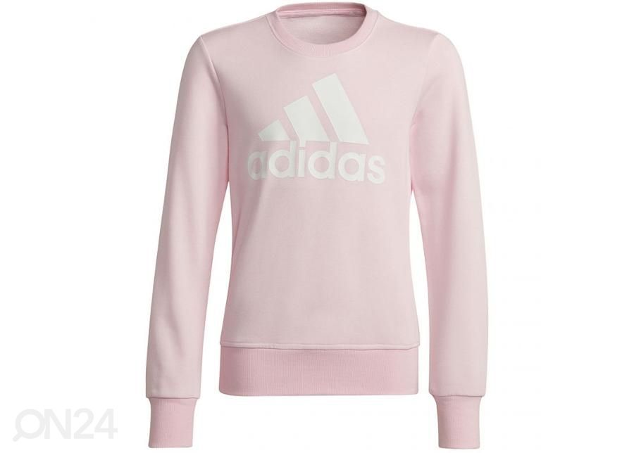 Lasten treenipaita Adidas Essentials Big Logo Sweatshirt kuvasuurennos