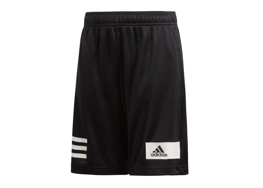 Lasten treenishortsit Adidas Linear Climacool TR Short Junior DV1363 kuvasuurennos