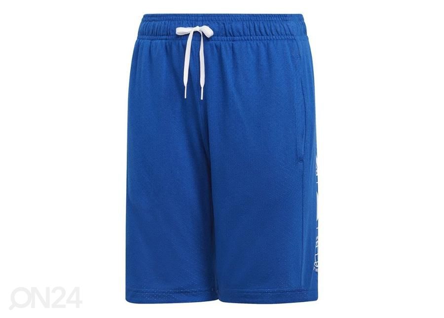 Lasten treenishortsit Adidas YB Sid Short Jr DV1703 kuvasuurennos