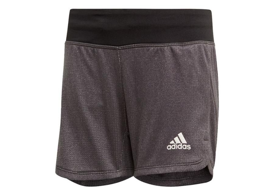 Lasten treenishortsit Adidas YG TR Chill SH Jr DV2799 kuvasuurennos